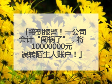 接到报警！一公司会计“闯祸了”，将10000000元误转陌生人账户！