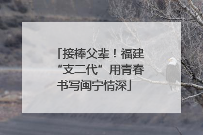 接棒父辈！福建“支二代”用青春书写闽宁情深