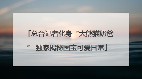 总台记者化身“大熊猫奶爸” 独家揭秘国宝可爱日常
