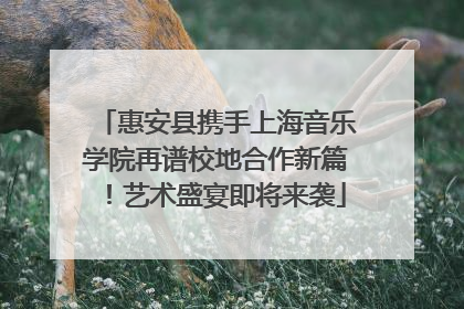 惠安县携手上海音乐学院再谱校地合作新篇！艺术盛宴即将来袭
