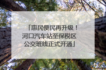 惠民便民再升级！河口汽车站至保税区公交班线正式开通