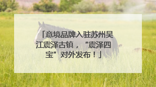 意境品牌入驻苏州吴江震泽古镇，“震泽四宝”对外发布！
