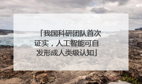我国科研团队首次证实，人工智能可自发形成人类级认知