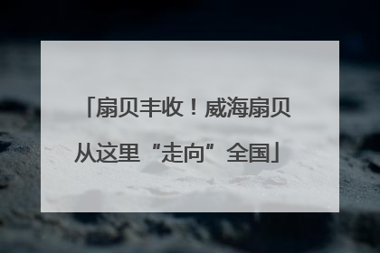 扇贝丰收！威海扇贝从这里“走向”全国