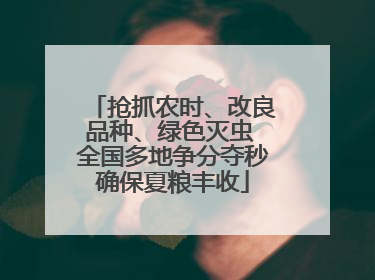抢抓农时、改良品种、绿色灭虫 全国多地争分夺秒确保夏粮丰收