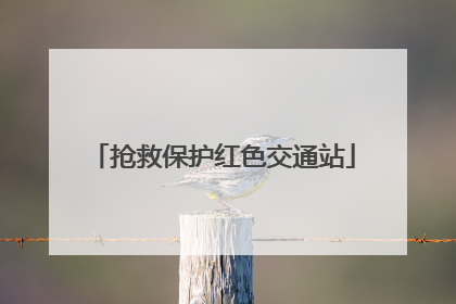 抢救保护红色交通站
