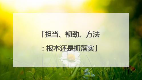 担当、韧劲、方法：根本还是抓落实