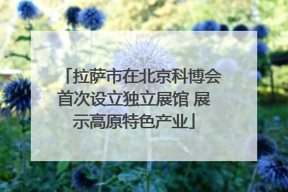 拉萨市在北京科博会首次设立独立展馆 展示高原特色产业