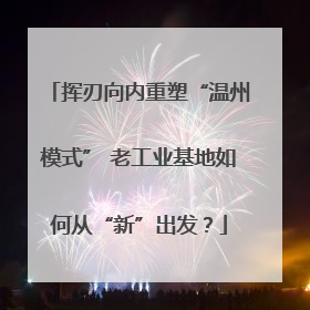 挥刃向内重塑“温州模式” 老工业基地如何从“新”出发？