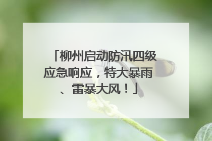 柳州启动防汛四级应急响应，特大暴雨、雷暴大风！