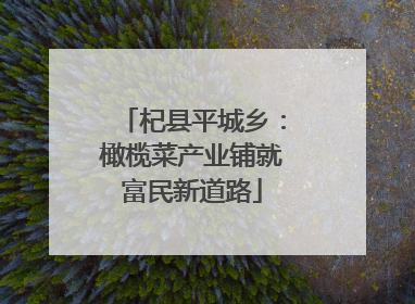 杞县平城乡：橄榄菜产业铺就富民新道路