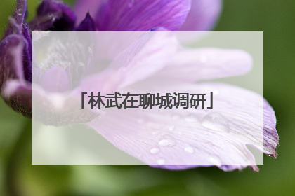 林武在聊城调研