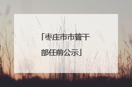 枣庄市市管干部任前公示