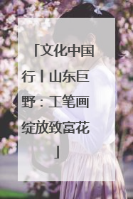 文化中国行丨山东巨野：工笔画绽放致富花
