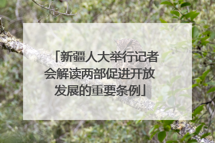 新疆人大举行记者会解读两部促进开放发展的重要条例