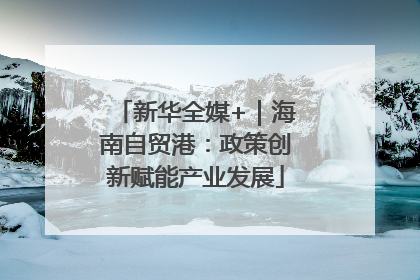 新华全媒+｜海南自贸港：政策创新赋能产业发展