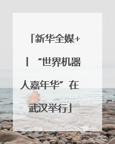 新华全媒+丨“世界机器人嘉年华”在武汉举行