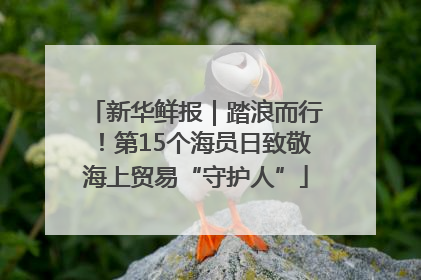新华鲜报｜踏浪而行！第15个海员日致敬海上贸易“守护人”