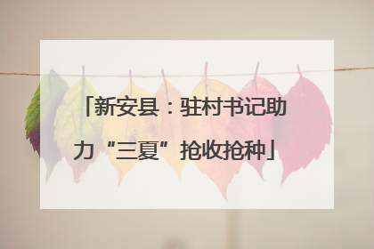 新安县：驻村书记助力“三夏”抢收抢种