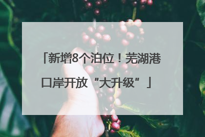新增8个泊位！芜湖港口岸开放“大升级”