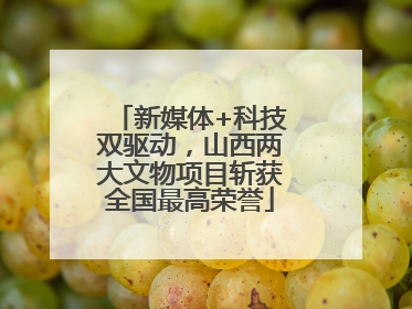 新媒体+科技双驱动，山西两大文物项目斩获全国最高荣誉