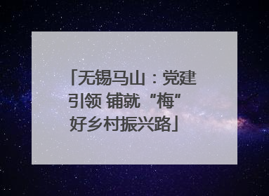 无锡马山：党建引领 铺就“梅”好乡村振兴路
