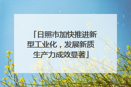 日照市加快推进新型工业化，发展新质生产力成效显著