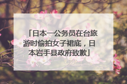 日本一公务员在台旅游时偷拍女子裙底，日本岩手县政府致歉