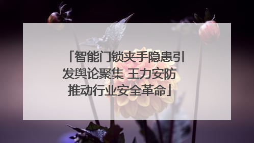 智能门锁夹手隐患引发舆论聚集 王力安防推动行业安全革命
