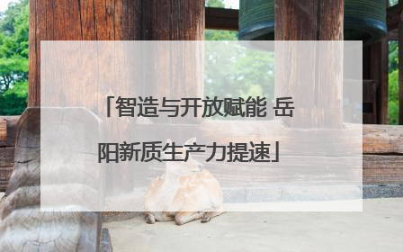 智造与开放赋能 岳阳新质生产力提速