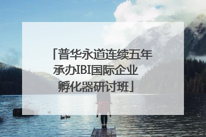 普华永道连续五年承办IBI国际企业孵化器研讨班