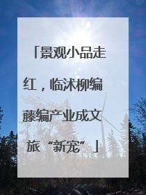 景观小品走红，临沭柳编藤编产业成文旅“新宠”