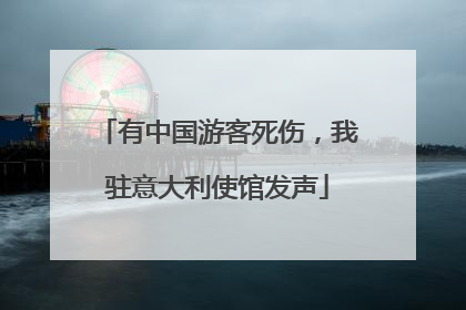 有中国游客死伤，我驻意大利使馆发声
