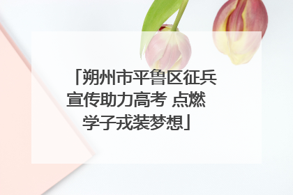 朔州市平鲁区征兵宣传助力高考 点燃学子戎装梦想