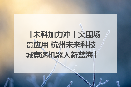 未科加力冲丨突围场景应用 杭州未来科技城竞逐机器人新蓝海