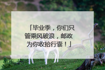 毕业季，你们只管乘风破浪，邮政为你收拾行囊！