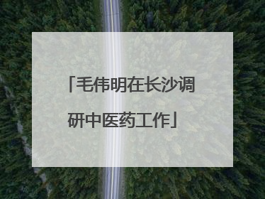 毛伟明在长沙调研中医药工作