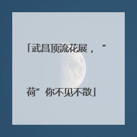 武昌顶流花展，“荷”你不见不散
