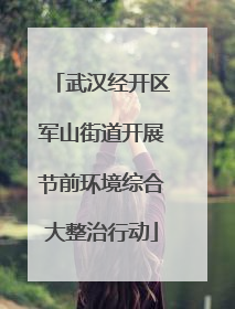 武汉经开区军山街道开展节前环境综合大整治行动
