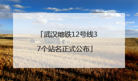 武汉地铁12号线37个站名正式公布