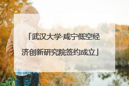 武汉大学·咸宁低空经济创新研究院签约成立