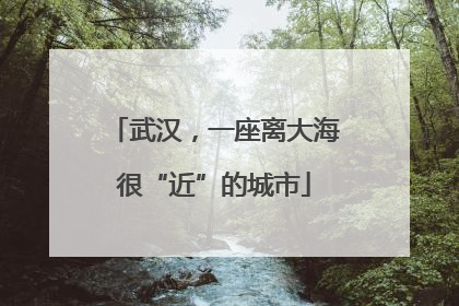 武汉，一座离大海很“近”的城市