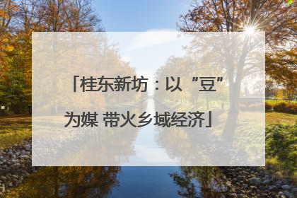 桂东新坊：以“豆”为媒 带火乡域经济