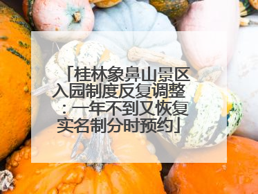 桂林象鼻山景区入园制度反复调整：一年不到又恢复实名制分时预约