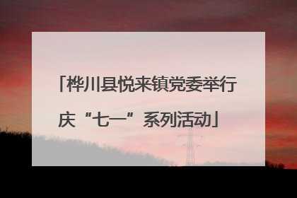 桦川县悦来镇党委举行庆“七一”系列活动