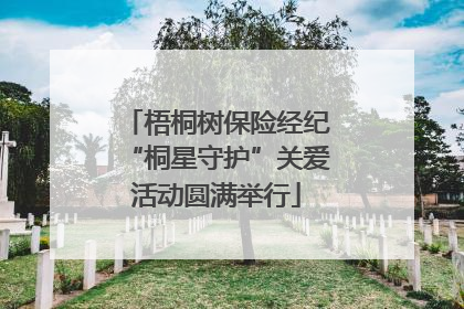 梧桐树保险经纪“桐星守护”关爱活动圆满举行