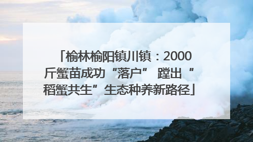 榆林榆阳镇川镇：2000斤蟹苗成功“落户” 蹚出“稻蟹共生”生态种养新路径