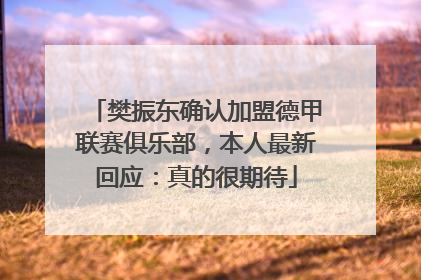 樊振东确认加盟德甲联赛俱乐部，本人最新回应：真的很期待