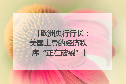 欧洲央行行长：美国主导的经济秩序“正在破裂”