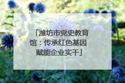 潍坊市党史教育馆：传承红色基因 赋能企业实干